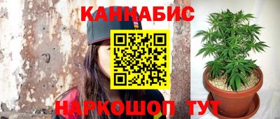 МДПВ Пугачёв