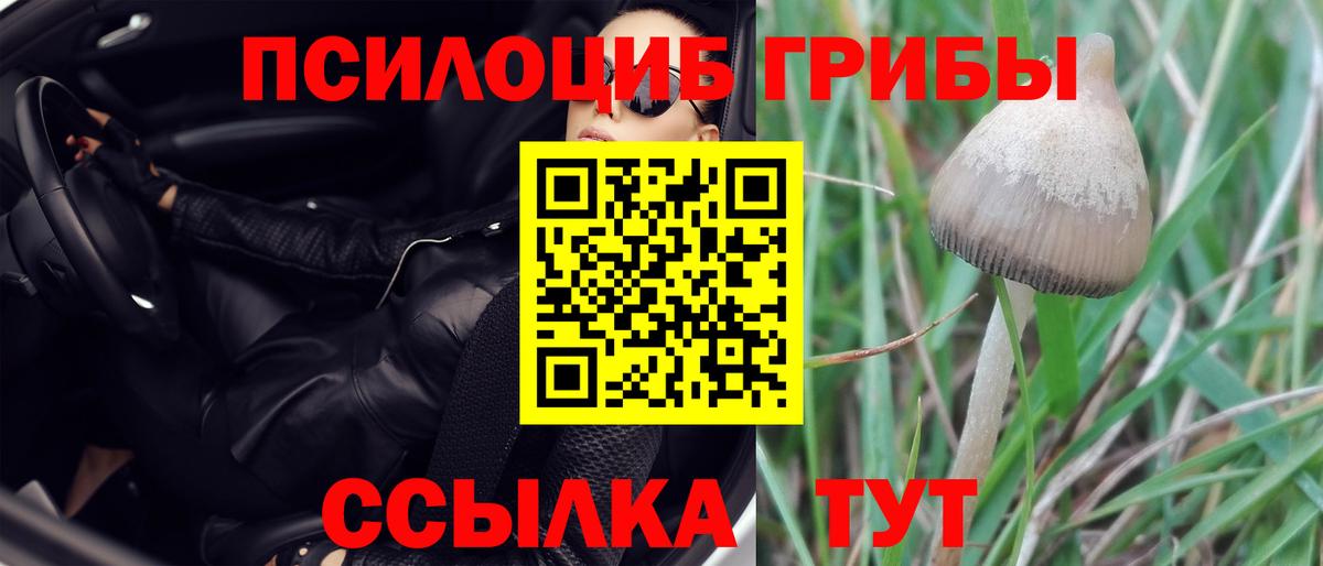 Псилоцибиновые грибы MAGIC MUSHROOMS  Псилоцибиновые грибы ЛСД  Вход с VPN  Соликамск 